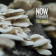 Now Forager soundtrack 110